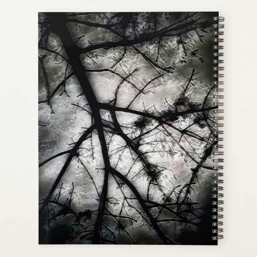 Abschluss Planer (Rückseite)