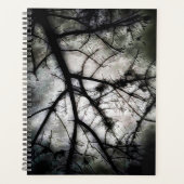 Abschluss Planer (Vorderseite)