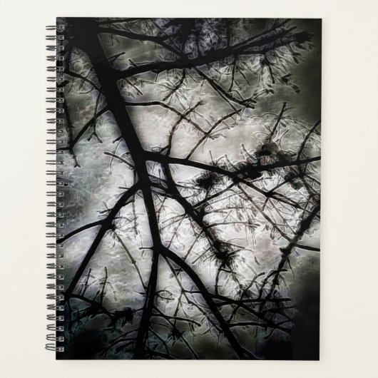 Abschluss Planer (Vorderseite)