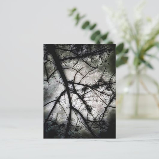 Abschluss Postkarte (Stehend Vorderseite)