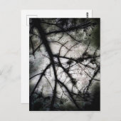 Abschluss Postkarte (Vorne/Hinten)