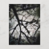 Abschluss Postkarte (Vorderseite)