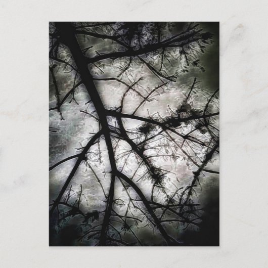 Abschluss Postkarte (Vorderseite)