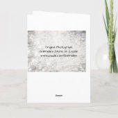 Abschluss-Scripterkarte überqueren Karte (Rückseite)