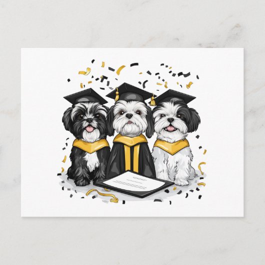 Abschluss Shih Tzu Dogs Postkarte (Vorderseite)