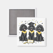 Abschluss Standard Poodle Hunde Magnet (Vorderseite/Rückseite)
