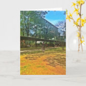 Abschluss-Tag, Uni, Mann Karte (Gelbe Blume)