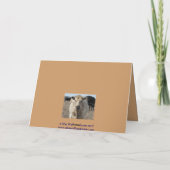 Abschluss wünscht - niedliche weiße Kuh - Ranch Karte (Rückseite)