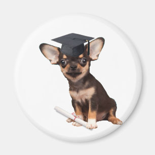 AbschlussChihuahuahund Magnet