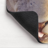 Abschlussporträt eines jungen männlichen Löwen Mousepad (Ecke)