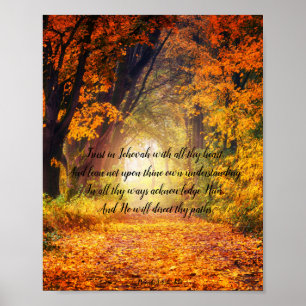 Abschnitt 3: 5-6 Poster