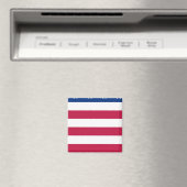 Abschnitt 5 von 8 Abschnitten - US-FLAG - Magnet (In Situ (Geschirrspüler))