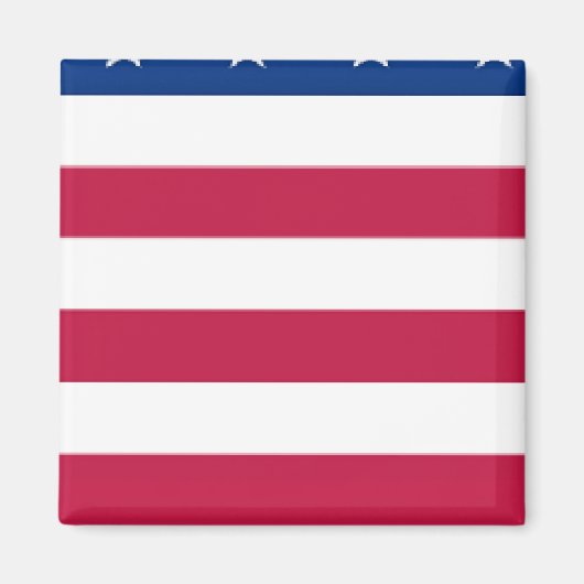 Abschnitt 5 von 8 Abschnitten - US-FLAG - Magnet (Vorne)