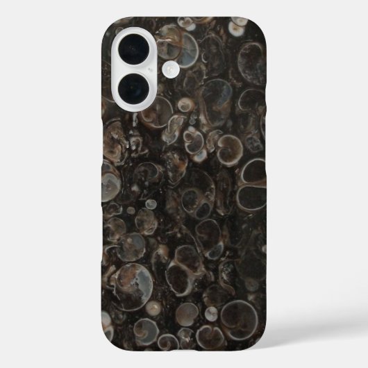Abschnitt Turritella Agate Case-Mate iPhone Hülle (Rückseite)