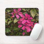 ABSCHNITTSKLAMATIS MOUSEPAD (Mit Mouse)
