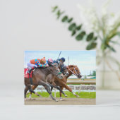 Absentee- Irad Ortiz jr. Camgo, Irish Roar Postkarte (Stehend Vorderseite)