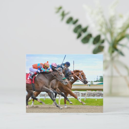 Absentee- Irad Ortiz jr. Camgo, Irish Roar Postkarte (Stehend Vorderseite)