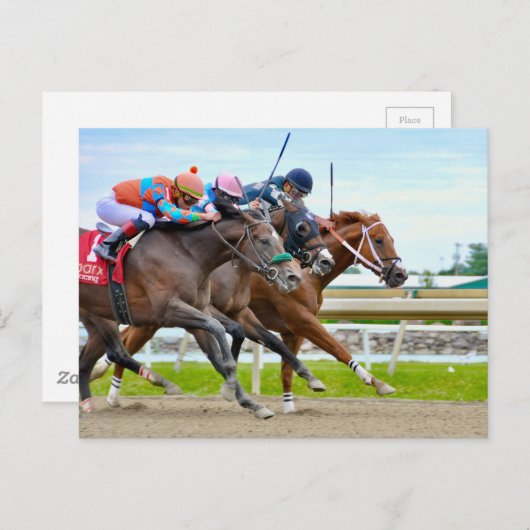 Absentee- Irad Ortiz jr. Camgo, Irish Roar Postkarte (Vorne/Hinten)