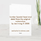 Absicht - Clumber Spaniel-Grußkarte Karte (Rückseite)