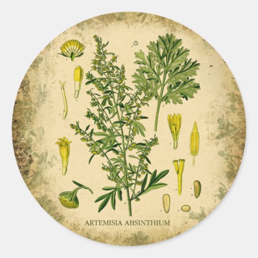 Absinthe Botanische Collage Runder Aufkleber (Vorderseite)
