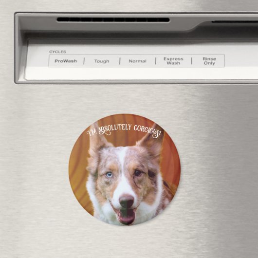 "Absolut korgiös!" Magnet (In Situ (Geschirrspüler))