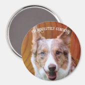 "Absolut korgiös!" Magnet (Vorderseite/Rückseite)