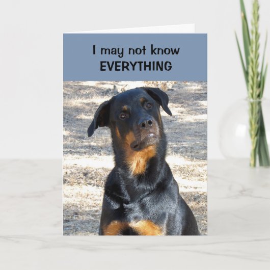 Absolut Sure Rottweiler Valentinstag Card Feiertagskarte (Vorderseite)