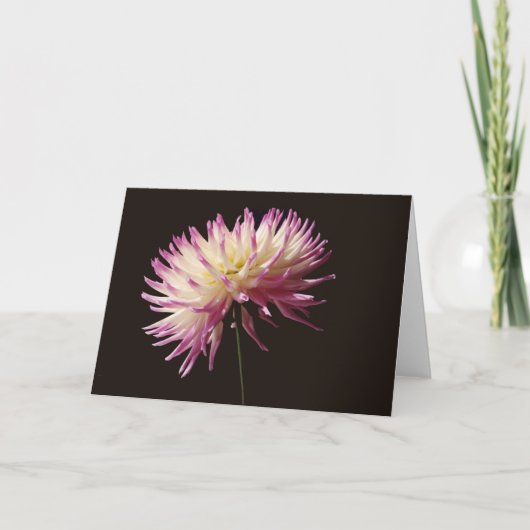 absolute Schönheit Karte (Vorderseite)