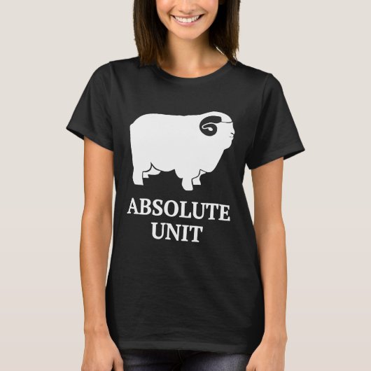 Absoluunit T-Shirt (Vorderseite)