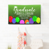 Absolvent Banner (Insitu)