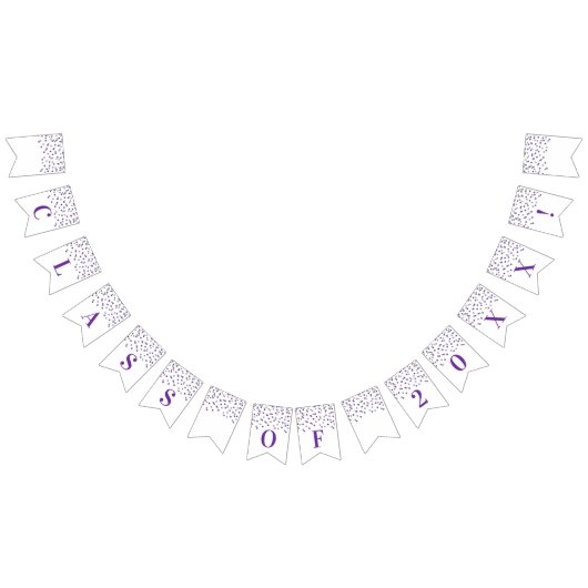 Absolvent-Klassen-Jahr-Fahnelila silberner Wimpelkette (Alle)