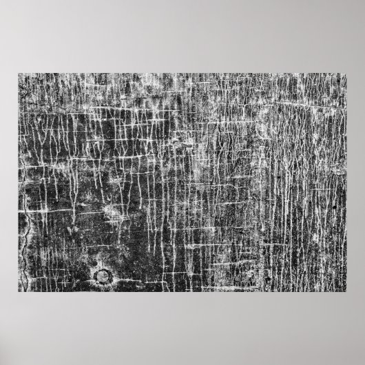 Absperrwände Poster (Vorne)