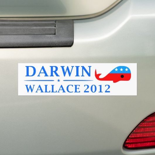 Abstimmung Darwin u. Wallace im Jahre 2012 Autoaufkleber (Auf Auto)