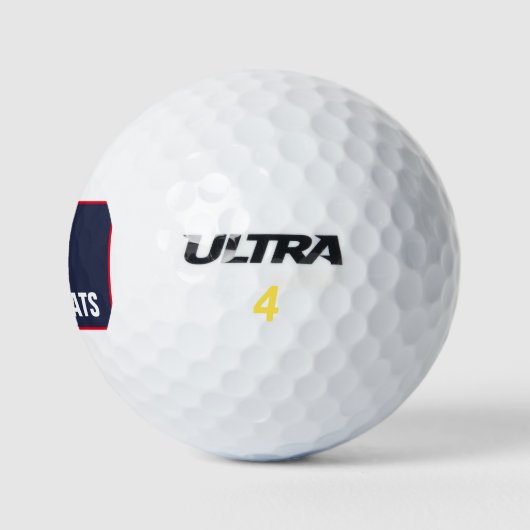 Abstimmung für die Demokraten 2020 Golfball (Logo)
