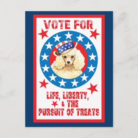 Abstimmung für Miniatur Poodle Postkarte (Vorderseite)