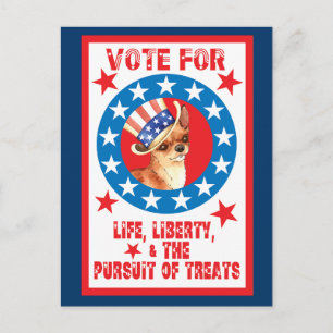 Abstimmung über Chihuahua Postkarte