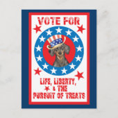 Abstimmung über die Dackel Postkarte (Vorderseite)