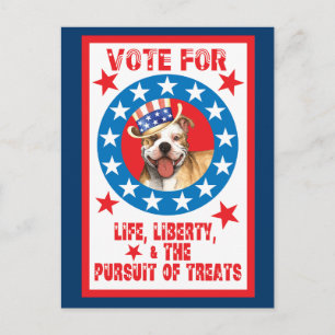 Abstimmung über Pit Bull Postkarte