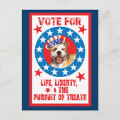 Abstimmung über Pit Bull Postkarte (Vorderseite)