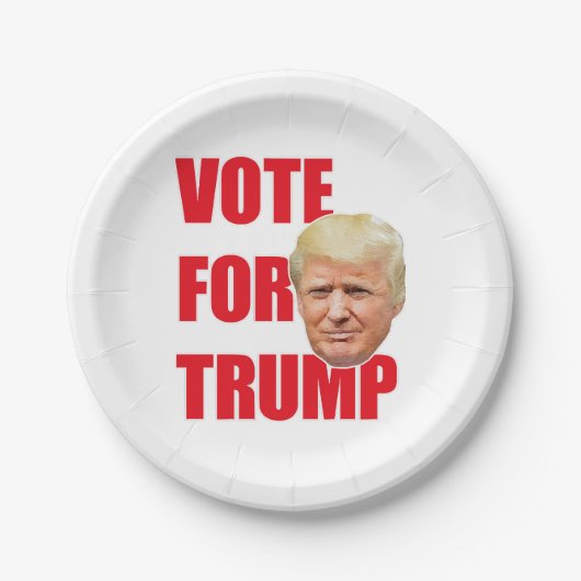 Abstimmung über Trump Pappteller (Vorderseite)
