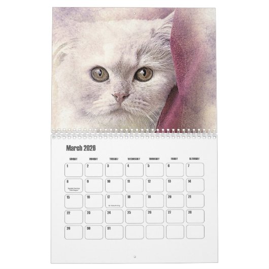 Abstract Art Cat Kalender (Mär 2026)