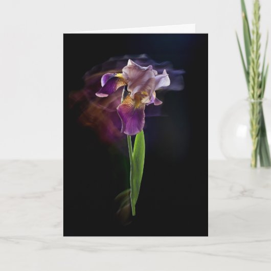 Abstract Iris Flower – Elegant Floral Art Karte (Vorderseite)