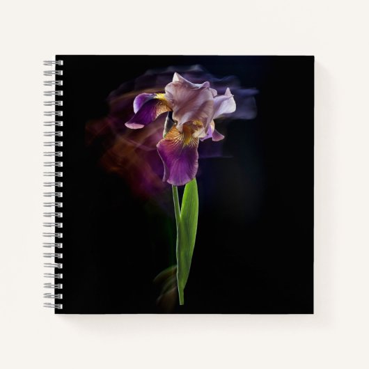Abstract Iris Flower – Elegant Floral Art Notizblock (Vorderseite)