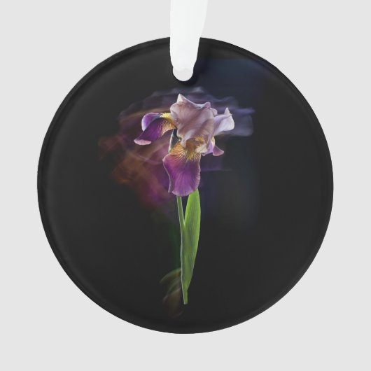 Abstract Iris Flower – Elegant Floral Art Ornament (Vorderseite)