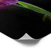 Abstract Iris Flower – Elegant Floral Art Poster (Ecke)