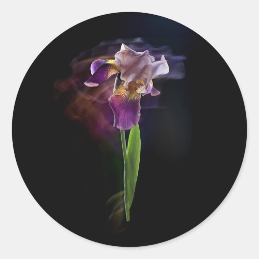 Abstract Iris Flower – Elegant Floral Art Runder Aufkleber (Vorderseite)