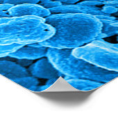 abstract microbiology art custom poster canvas (Ecke)