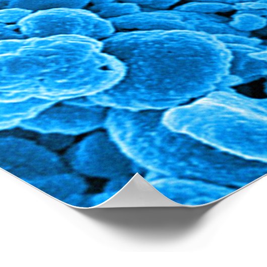 abstract microbiology art custom poster canvas (Ecke)