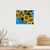 abstract microbiology art custom poster canvas (Küche)