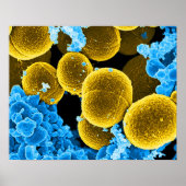 abstract microbiology art custom poster canvas (Vorne)